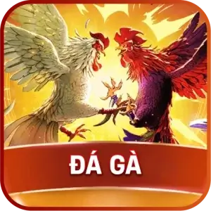 sc88 da ga